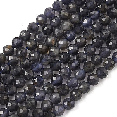 Natural Iolite Beads Strands G-J400-E05-02B-1