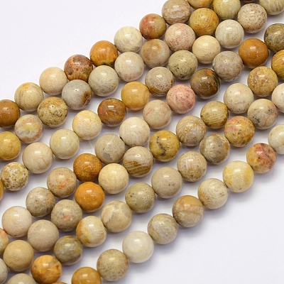 Natural Fossil Coral Beads Strands X-G-G697-F01-8mm-1