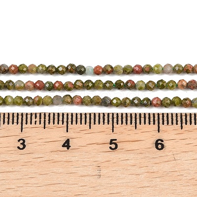 Natural Unakite Beads Strands G-B171-C03-2mm-1