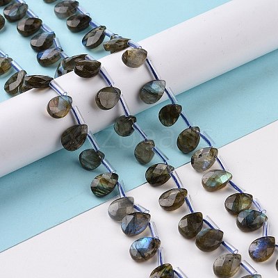 Natural Labradorite Beads Strands G-I246-09-A-1