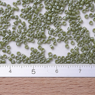 MIYUKI Delica Beads SEED-J020-DB0263-1