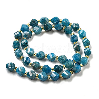Natural Apatite Beads Strands G-M443-B06-02-1