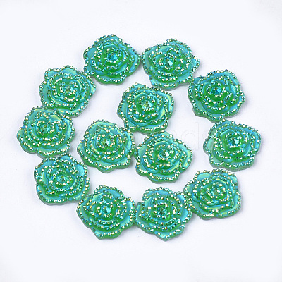 Resin Rhinestone Cabochons CRES-T012-02F-1