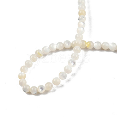 Natural White Shell Bead Strands SSHEL-N003-144C-01-1