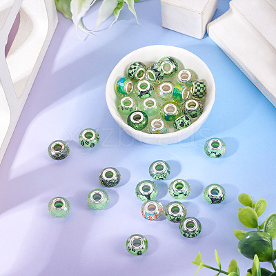 30Pcs Printed Transparent Resin European Beads RESI-TADJ0001-03I-1