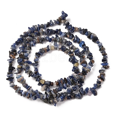 Natural Sodalite Chips Beads Strands X-F024-1
