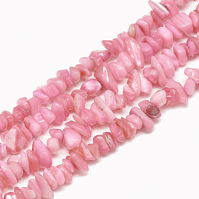 Freshwater Shell Beads Strands X-SHEL-S270-05-1