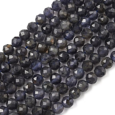 Natural Iolite Beads Strands G-J400-E05-02B-1