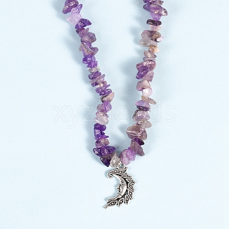 Natural Amethyst Necklaces PW-WG0A90B-35-1