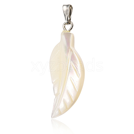 Natural Trochid Shell/Trochus Shell Pendants BSHE-CJC0002-13-1