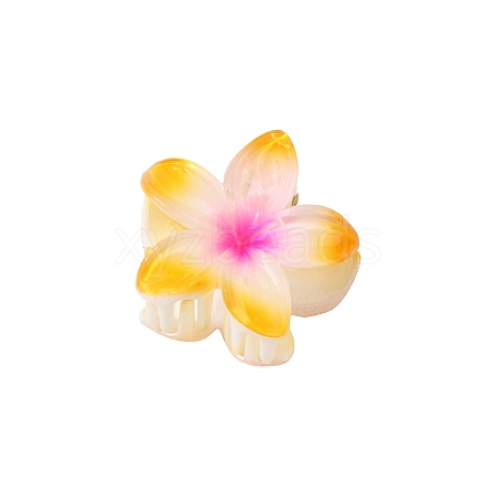 Plastic Claw Hair Clips PW-WG07B2B-10-1