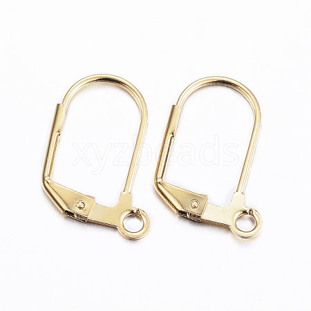 304 Stainless Steel Earrings X-STAS-P166-11G-1
