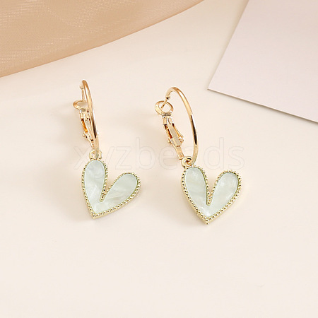 Alloy Leverback Earrings for Women FS-WG5346B-01-1