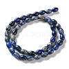 Natural Lapis Lazuli Beads Strands G-I369-B15-01-3