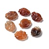 Natural Carnelian Beads G-Q007-01-1