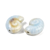 Handmade Porcelain Beads PORC-R003-02D-2