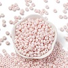 Baking Paint Glass Seed Beads SEED-C003-02F-2