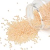 MIYUKI Round Rocailles Beads X-SEED-G007-RR0282-1