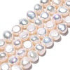 Natural Cultured Freshwater Pearl Beads Strands PEAR-N014-06F-2