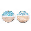 Transparent Resin & White Wood Pendants RESI-N039-54-3