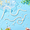 2 Strands 2 Srtyles Natural Cultured Freshwater Pearl Beads Strands PEAR-TA0001-20-6