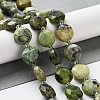 Natural Australia Jade/Chrysoprase Beads Strands G-NH0004-038-2