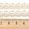 Glass Pearl Beads Strands HY-G002-01D-02-5
