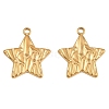 304 Stainless Steel Pendants SA-CBA9FD2-04G-1