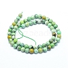 Natural Variscite Beads Strands G-G823-02-6mm-2