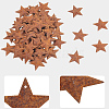 Rust Iron Pendants IFIN-GF0001-61B-6