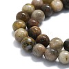 Natural Grey Moonstone Beads Strands G-P457-C02-08-2