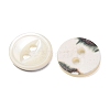 Cat Eye Style Natural Shell Buttons SH-CBAA69B-01G-2