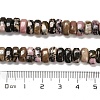 Natural Rhodonite Beads Strands G-Q167-B07-01-5