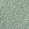 MIYUKI Round Rocailles Beads SEED-JP0009-RR2354-3