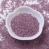 MIYUKI Delica Beads SEED-X0054-DB0253-2