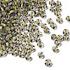 Transparent Stripe Glass Seed Beads LS-GLAA-NH0001-06G-1