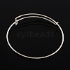 Adjustable Iron Expandable Bangle Making BJEW-R038-P-2