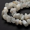 Natural Rainbow Moonstone Beads Strands X-G-A200-02-5