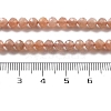 Natural Sunstone Beads Strands G-H080-B01-01-5