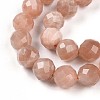 Natural Sunstone Beads Strands G-S345-10mm-23-4