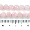 Natural Morganite Beads Strands G-F602-12-8mm-01-3