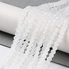 Transparent Glass Beads Strands X-EGLA-A044-T8mm-MB19-2