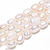 Natural Cultured Freshwater Pearl Beads Strands PEAR-N014-05F-01-2