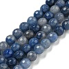 Dyed & Heated Natural Blue Aventurine Beads Strands G-E571-A10-01-1