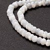 Natural Trochid Shell/Trochus Shell Beads Strands X-SSHEL-O001-24B-02-3