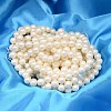 Round Shell Pearl Bead Strands X-BSHE-L011-8mm-A013A-2