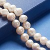 Natural Cultured Freshwater Pearl Beads Strands PEAR-L001-A-07-01-5