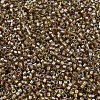 MIYUKI Delica Beads SEED-MY11-DB2396-3
