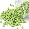TOHO 6/0 Round Beads X-SEED-TR06-0404F-1