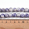 Baking Paint Glass Beads Strands X-DGLA-N003-10mm-C08-5